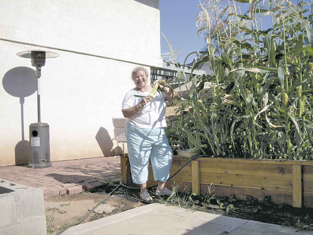 garden